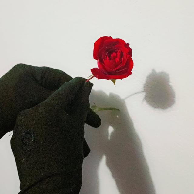 𝓗𝓮𝓪𝓻𝓽𝓫𝓮𝓪𝓽𝓼 🫀𝓸𝓯 𝓢𝓪𝓭𝓷𝓮𝓼𝓼🫠🌛💔( دھوپ میں چھاؤں، درد میں تسکین)