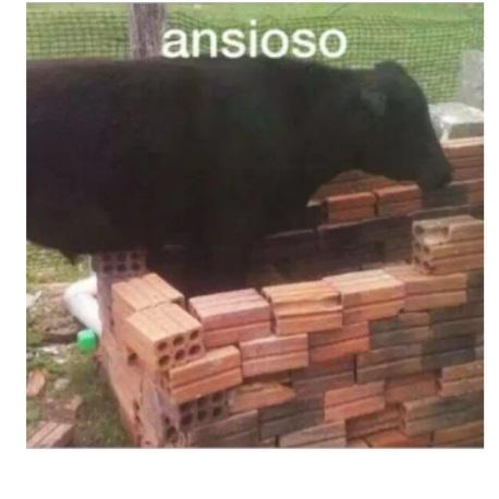 Imagem do grupo CNU 2025 - Bloco 7 no WhatsApp