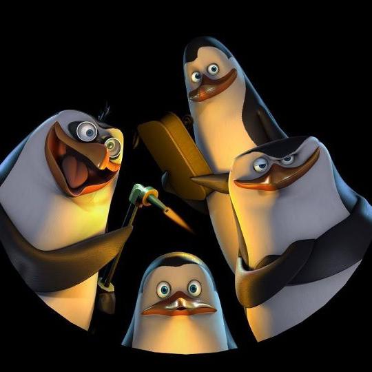 The4Penguin WhatsApp group icon