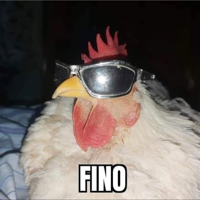 FIGURINHAS E AMIZADES 🟩 - Grupos WhatsApp no SeuGrupo