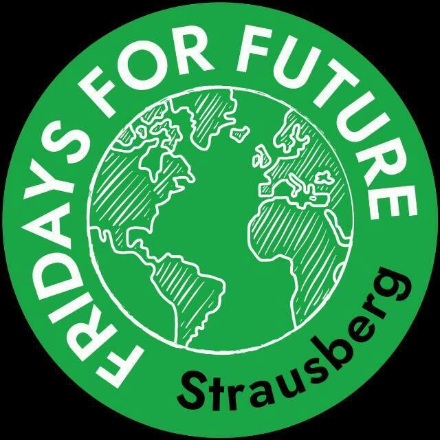 FFF Strausberg Info Whatsapp Group Join Link