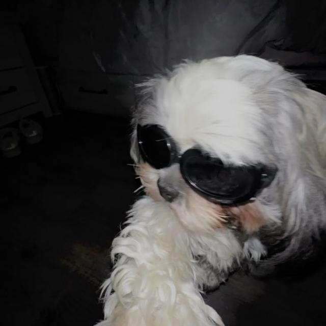 ⚠︎𝙷𝚘𝚜𝚙𝚒𝚌𝚎ᶜʰᵃᵗ⚠︎ - Grupos WhatsApp no SeuGrupo