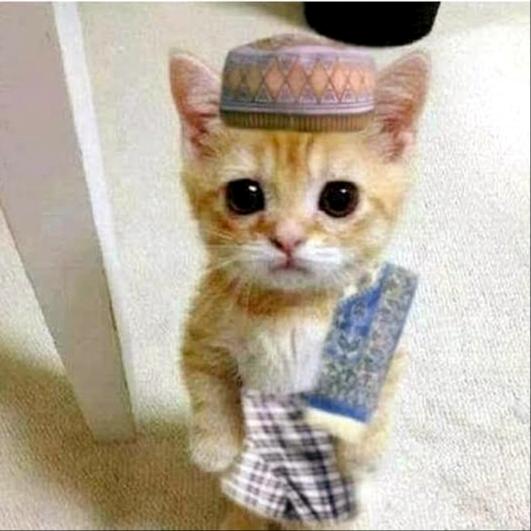Hijrah Yuk Bestie WhatsApp Group