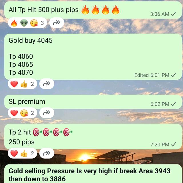 XAUUSD Vip Signal