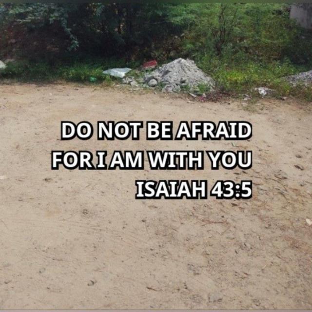 Bible verses daily