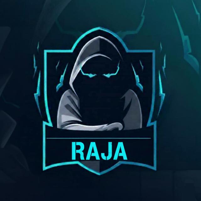 RAJA DIGISKILLS