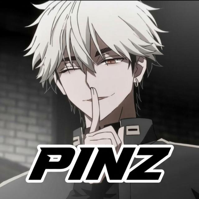 FT CS PINZ X OWN #1