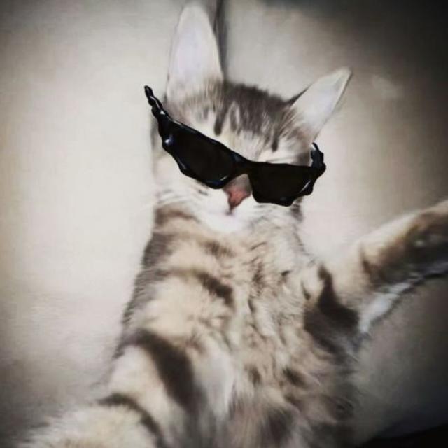 ⚠︎𝙷𝚘𝚜𝚙𝚒𝚌𝚎ᶜʰᵃᵗ⚠︎