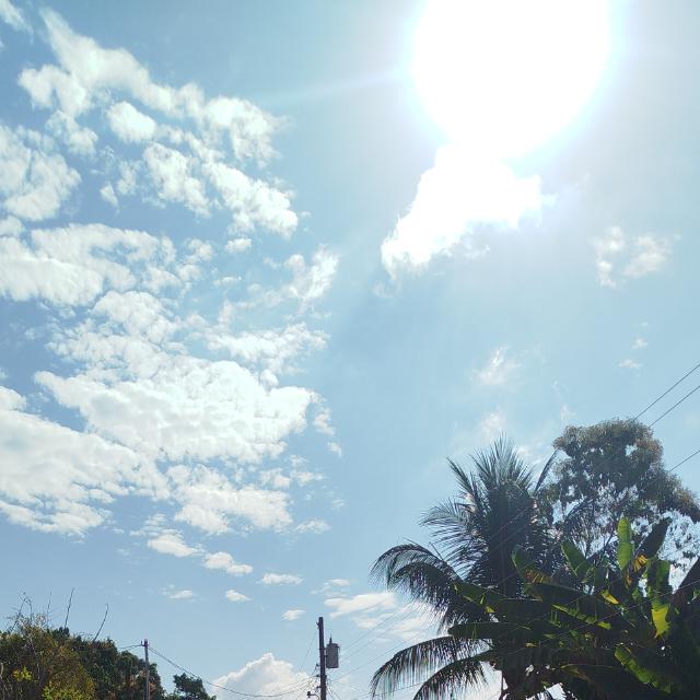 Avatar de Encuentra tu pareja, o rol, Grupo principiante.