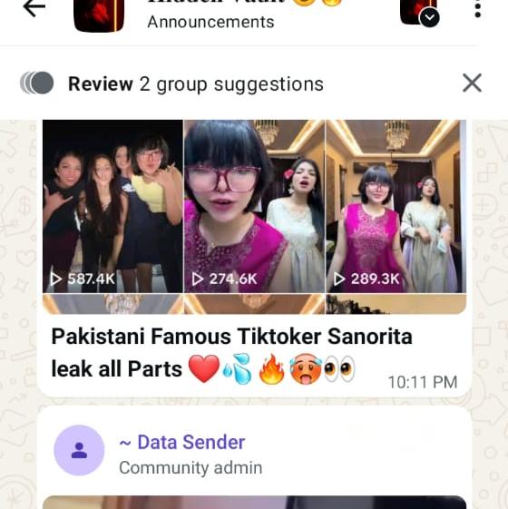 Pakistani TikTokr xx