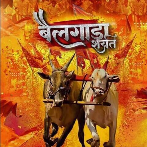 3️⃣0️⃣ "बैलगाडा शर्यत अपडेट महाराष्ट्र"