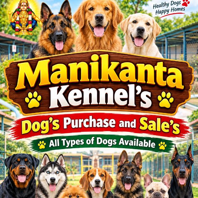 Manikanta Dog's Kennel Hyderabad