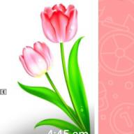 video group pk 🇵🇰