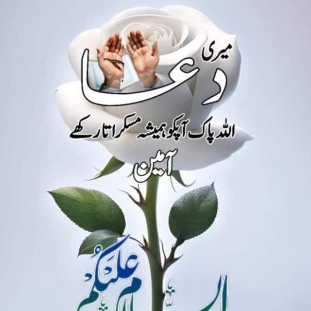 💘d💘i💘l 💘w💘a💘l💘o💘n 💘k💘a 💘g💘r💘o💘u💘p