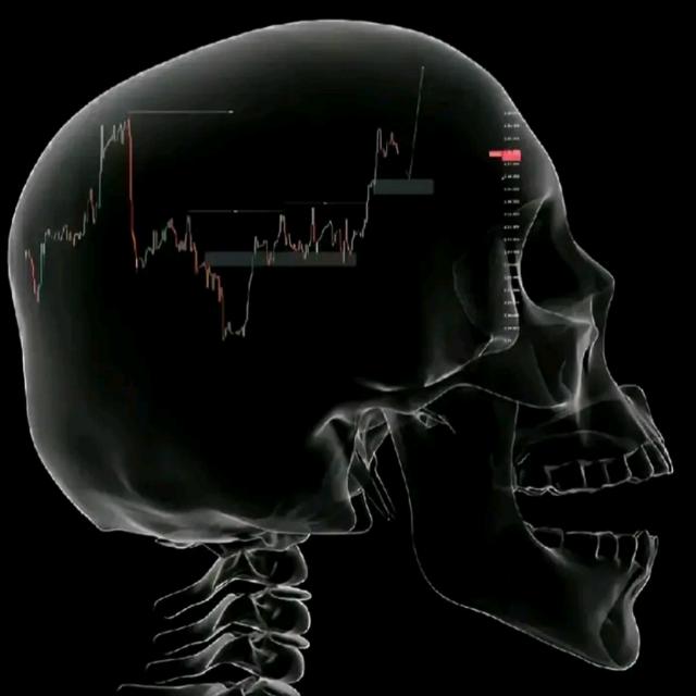 KIDO Forex Trading Academy