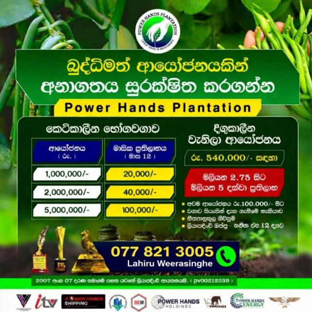 POWER HAND PLANTATION 🍃