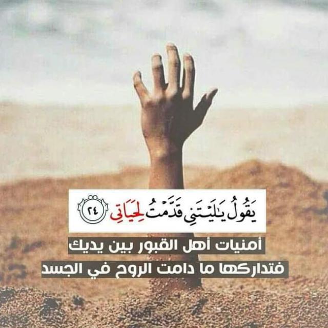 صلوا على حبيبكم محمد ٢ (Arabic Chat) WhatsApp Group