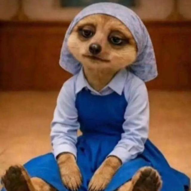 Cruise and fun 🙂‍↕️