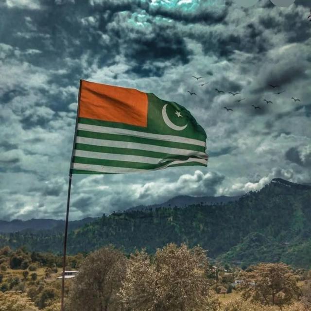 ادبی دنیا WhatsApp Group