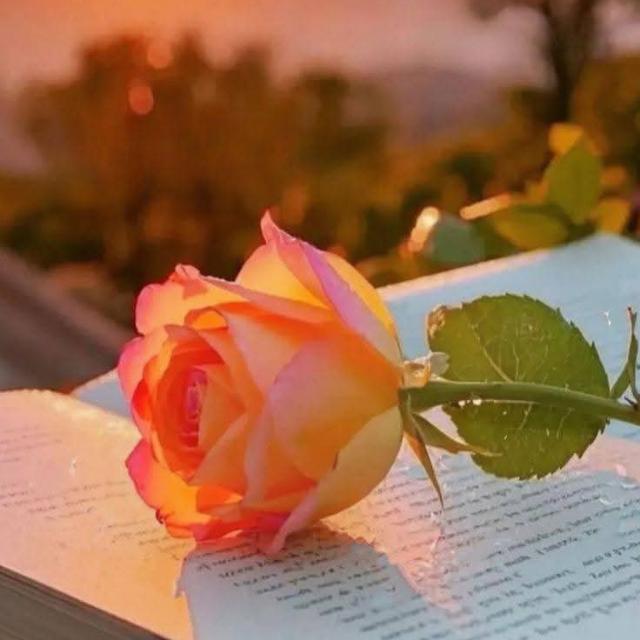 ❤ *Dil Se Dil Tak* ❤