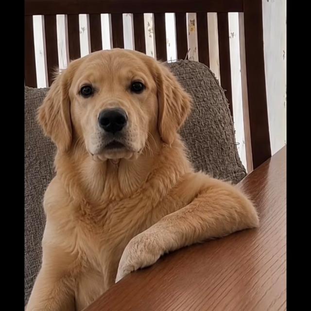 .....