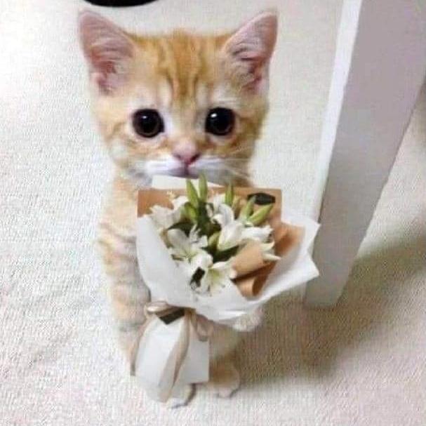 ✨ ๖ۣۣۜ፝ۜ͜͡ එකමුතුවේ රැල්ල ๖ۣۣۜ፝ۜ͜͡ ✨