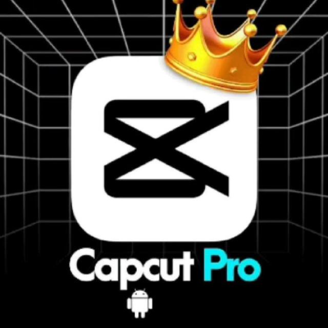 CapCut Pro Accounts Seller 🥰