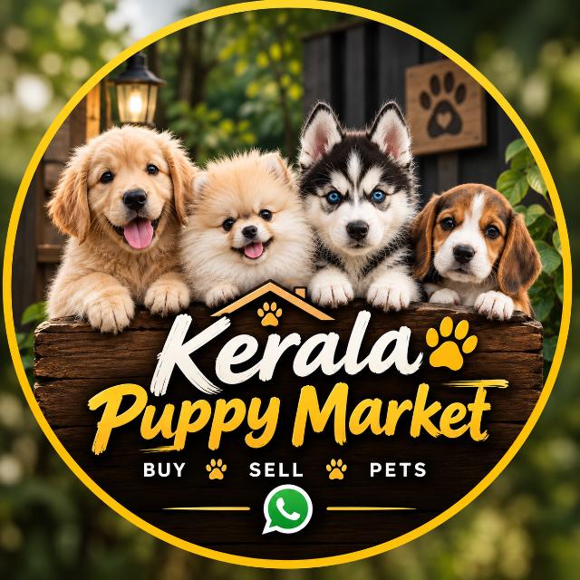 No. 1 🐾 Kerala Puppy Market 🐶 WhatsApp Group
