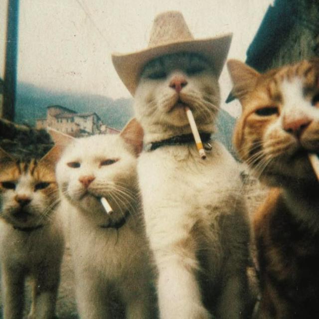 ❤️ CHAT WORLD ❤️