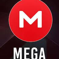Mega data