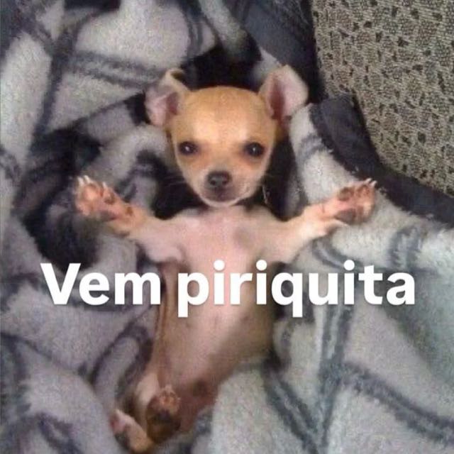 Imagem do grupo 🔥ℭ𝔞𝔟𝔞𝔯𝔢́ 24 𝔥𝔬𝔯𝔞𝔰🔥 WhatsApp - ImperioMX
