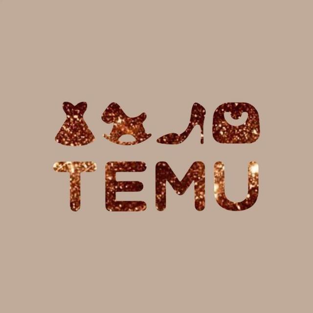 Temu Products Review