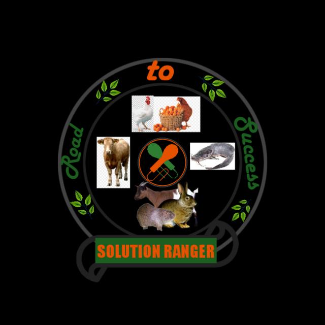 Join SOLUTION RANGER Whatsapp Group Link | Groupsor