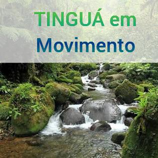 TINGUÁ em Movimento🤜🏽🤛🏽