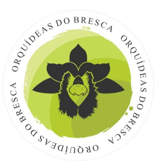 GRUPO VENDA whatsapp