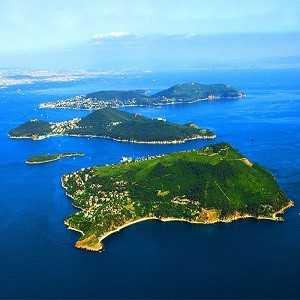 PALA NAKLİYAT ÖZEL