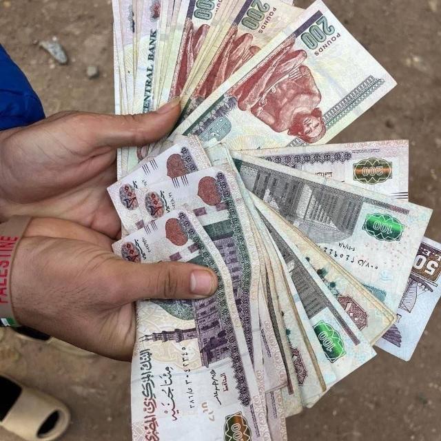 مملكة الارباح 💰💵 WhatsApp Group